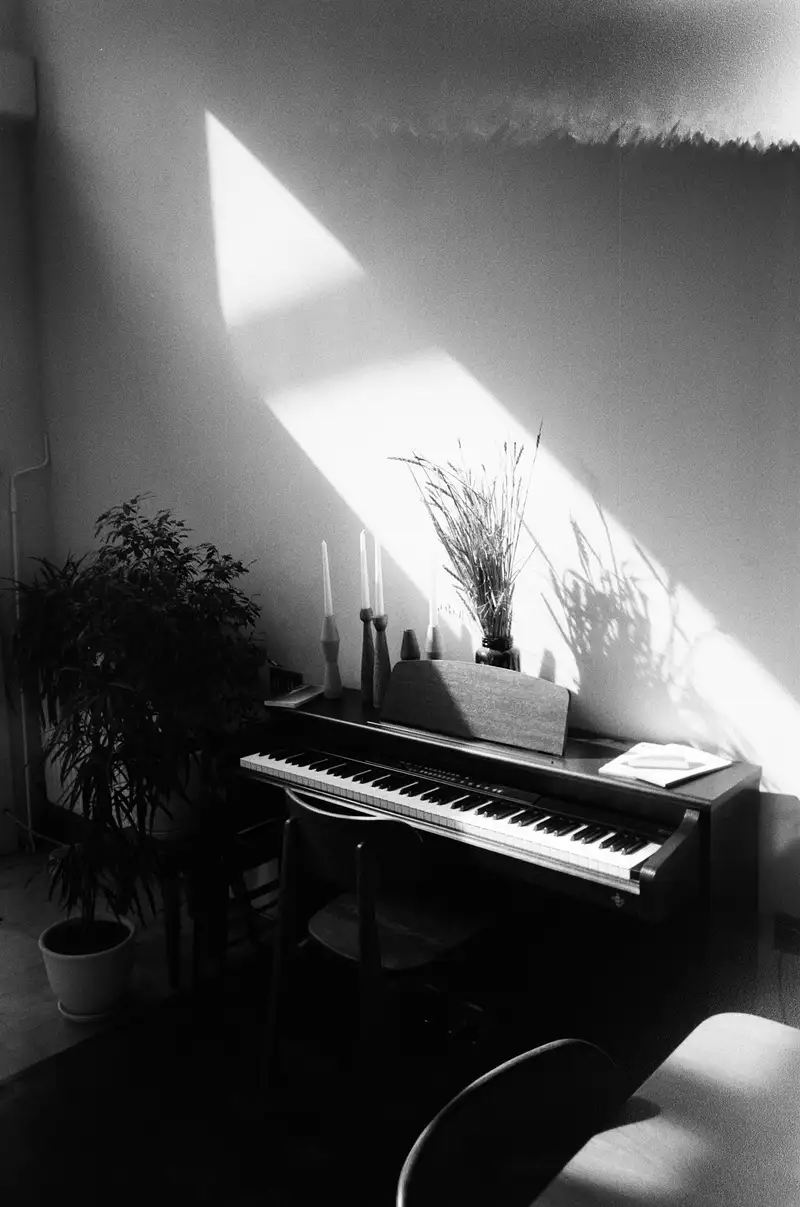 Teclado musical num canto de sala iluminado por luz natural, com uma planta ao lado